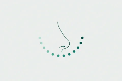 Nasal profile with dots shifting from light to dark to show the recovery process